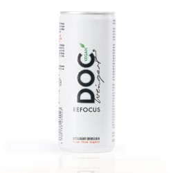 DOC REFOCUS (24 DOSEN)